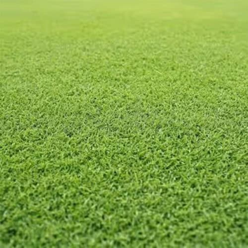 Santa Ana Couch Instant Turf