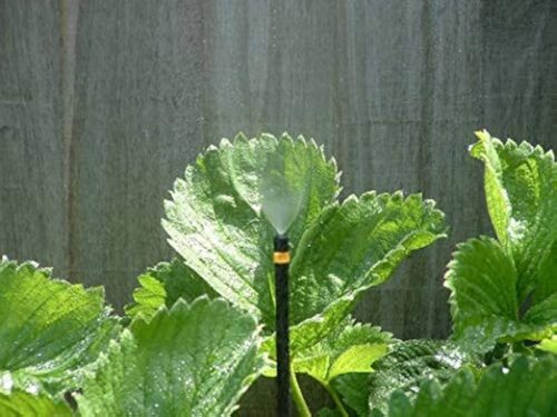 Antelco Yellow Base Mist Spray - Image 2