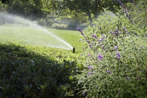 Hunter PGJ Gear Drive Sprinklers - Image 3