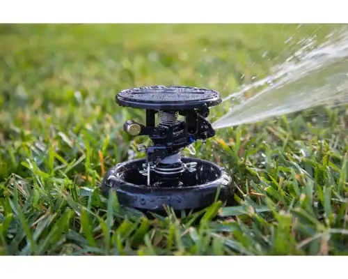 Rain Bird 2045A Maxi-Paw Series Pop-Up Impact Sprinklers - Image 2