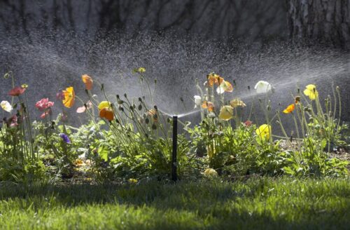 Hunter Pro-Spray Fixed Arc 17ft Nozzles - Image 2
