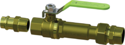 Dual Check Isolation Valve 20mm image