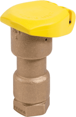 Rain Bird 5-RC Quick Coupling Valve